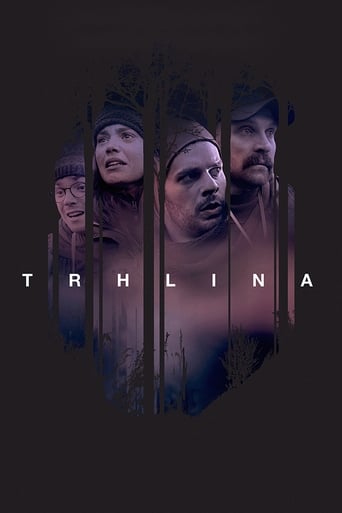 Poster of Trhlina