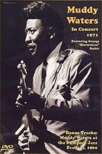 Muddy Waters - In Concert 1971 poster