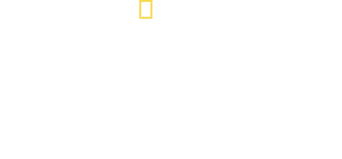 Inside the Hunt for the Boston Bombers logo