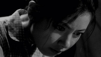 Гральне кошеня (1965)