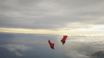 Fly (2024)