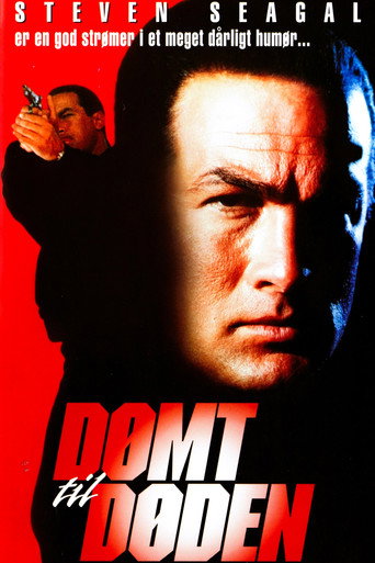Poster 43