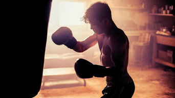 #11 Punch