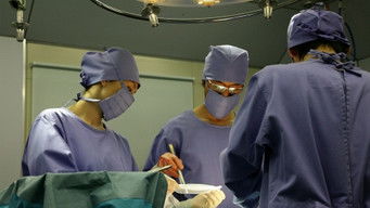 Episode 1 — Episode 1