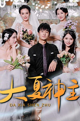 大夏神主 poster