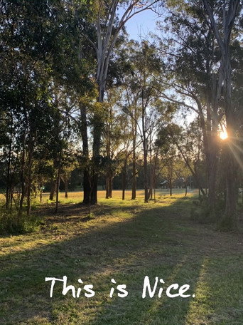 This is Nice. (1970)