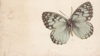 #24 Метелик