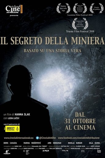 Il segreto della miniera