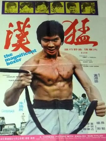 Poster of The Magnificent Boxer