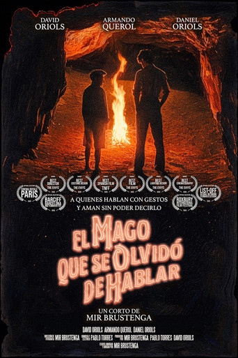 El Mago que se Olvidó de Hablar