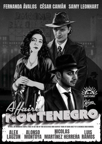 The Montenegro Affair (1970)