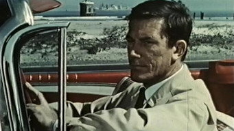 FBI Operation Yellow Viper (1966)
