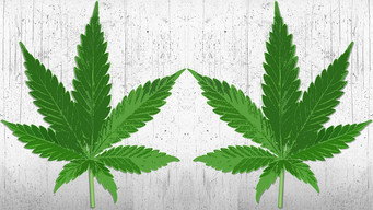 High There (2014)