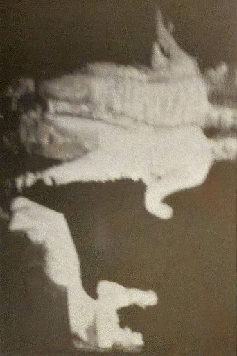 Zierot
