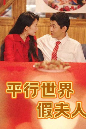 平行世界假夫人 poster