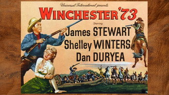 #11 Winchester '73