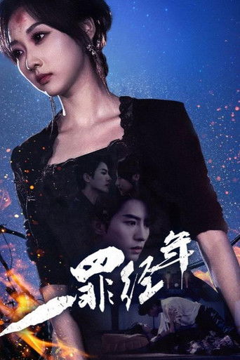 一罪经年 poster