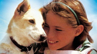 Molly (1983)