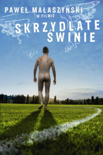 Skrzydlate świnie