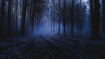 R. L. Stine's The Haunting Hour - Season 4 Episode 9 (2010) 予告編