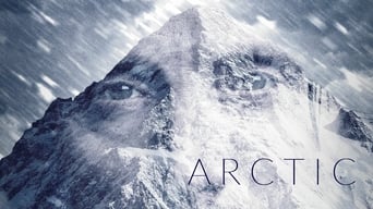 #8 Арктика