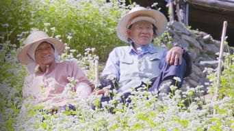 Hometown Stories (2011- )