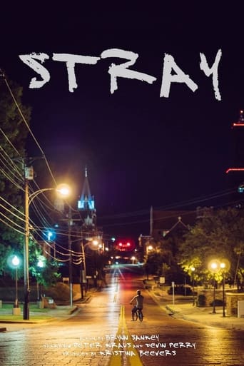 Poster of Stray