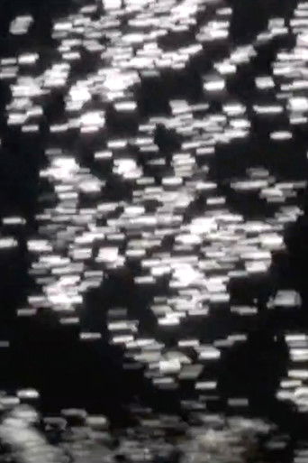 Invert and All That Is Solid poster