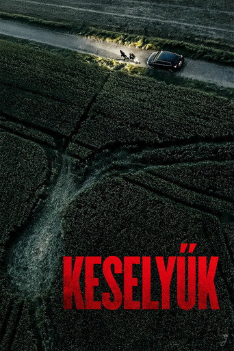 Keselyűk plakát
