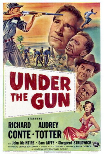 Poster 5