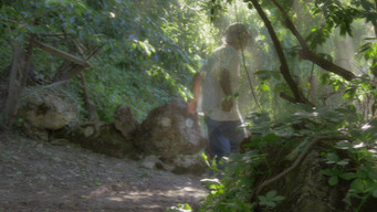 Pelle vegetale. Un'intervista (2019)