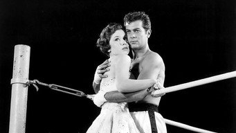 The Square Jungle (1955)