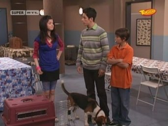 Los hechiceros de Waverly Place S01E08