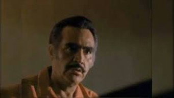 Mí querido viejo (1991)