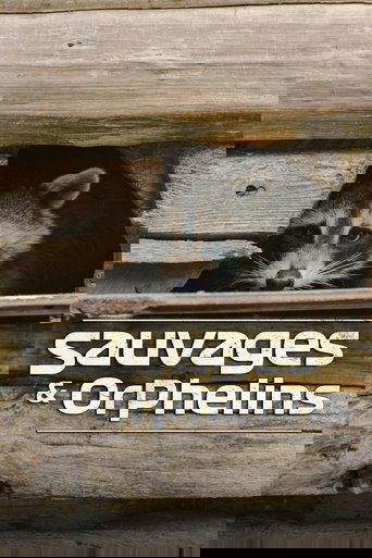 Sauvages et orphelins