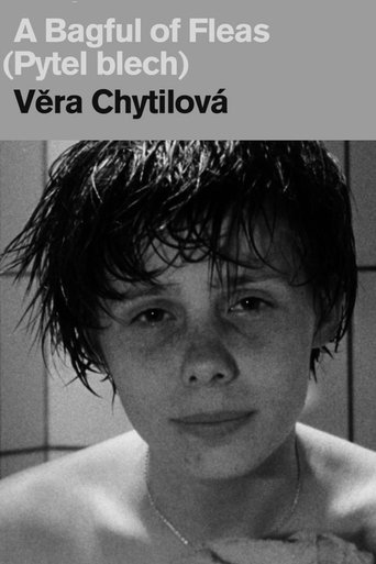 Poster for A Bagful of Fleas Poster for A Bagful of Fleas