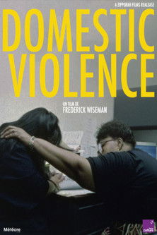 Domestic Violence