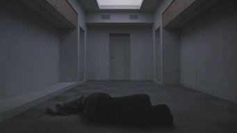 Тоні Такітані (2004)