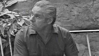 Episode 29 — Chapter 29