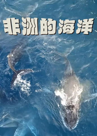 非洲的海洋 poster