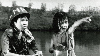 ДМЗ (1965)
