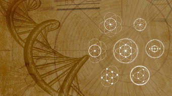 Harmonious Fractals