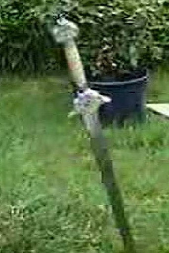 Ninja Squaraus