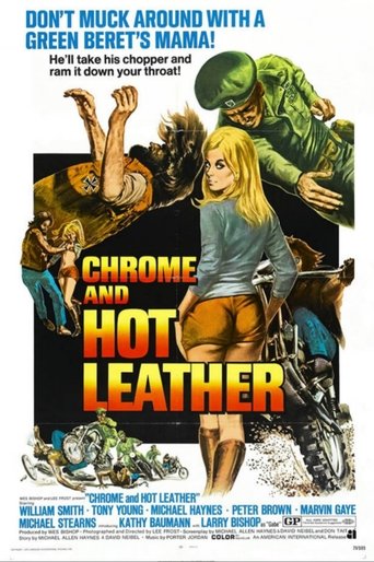 Chrome and Hot Leather poster
