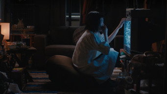 Kumiko, the Treasure Hunter (2015)