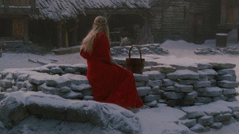 #24 Червона шапочка