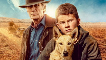 #10 Buckley's Chance