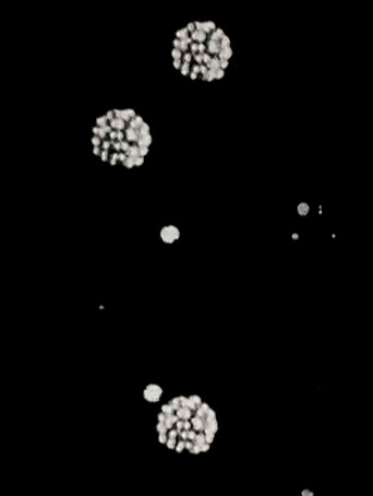 Inside The Atom (1948)