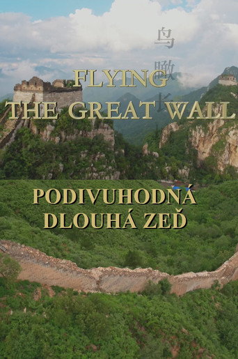 Flying the Great Wall (2017)