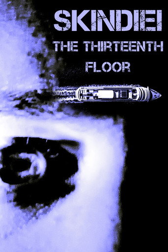 Skindiei: The Thirteenth Floor poster